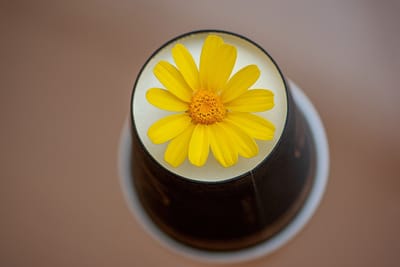 Manifest what you want by raising your vibration