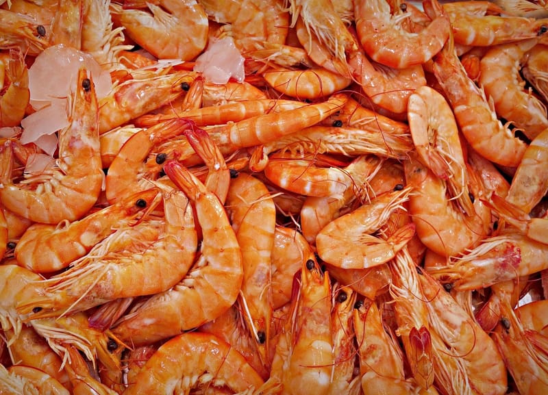 PRAWNS