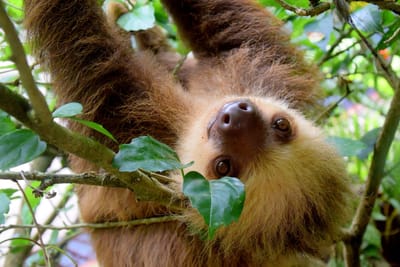 10 RULES TO LIVING IN COSTA RICA