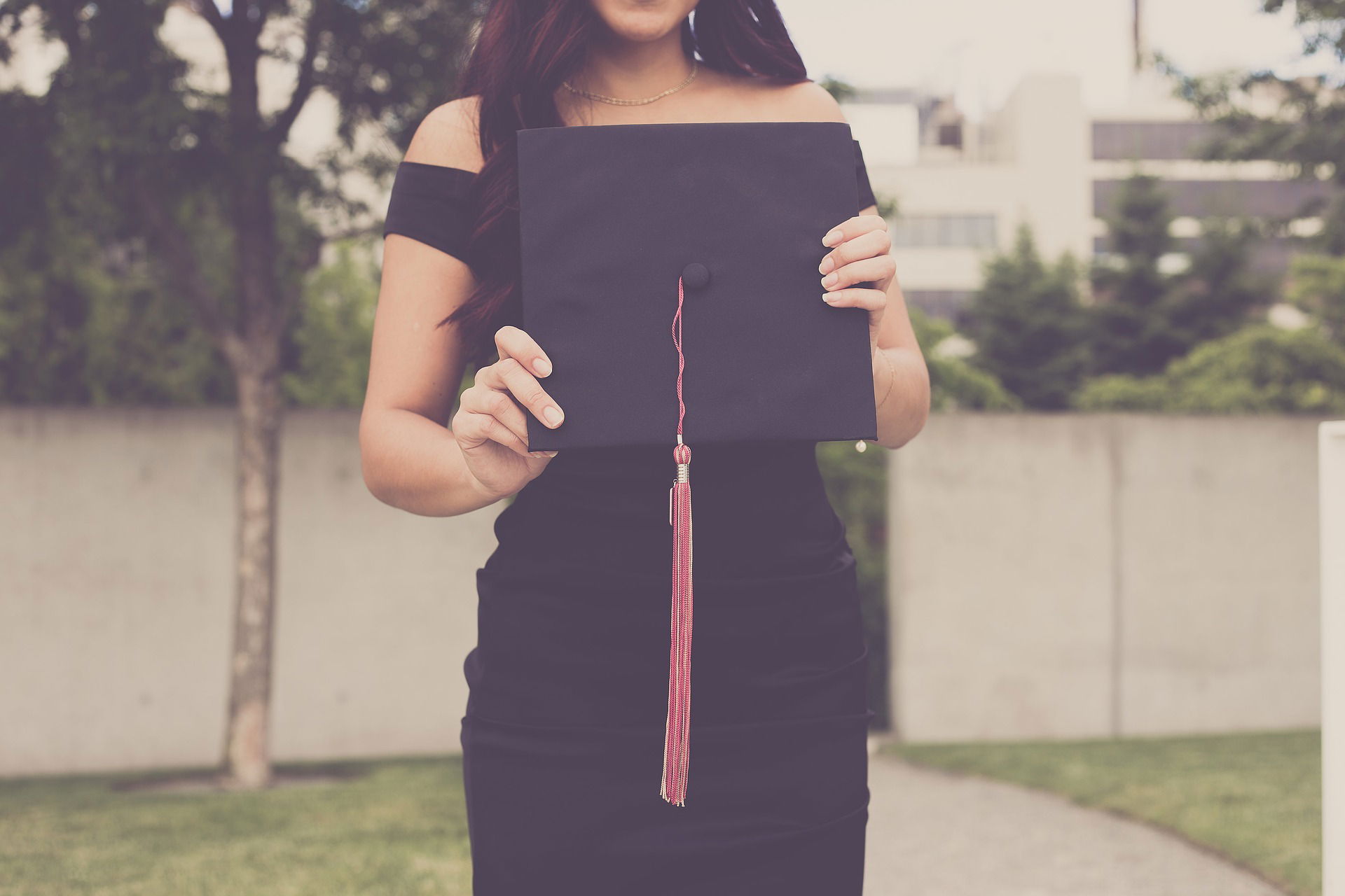 MASTER'S DEGREE