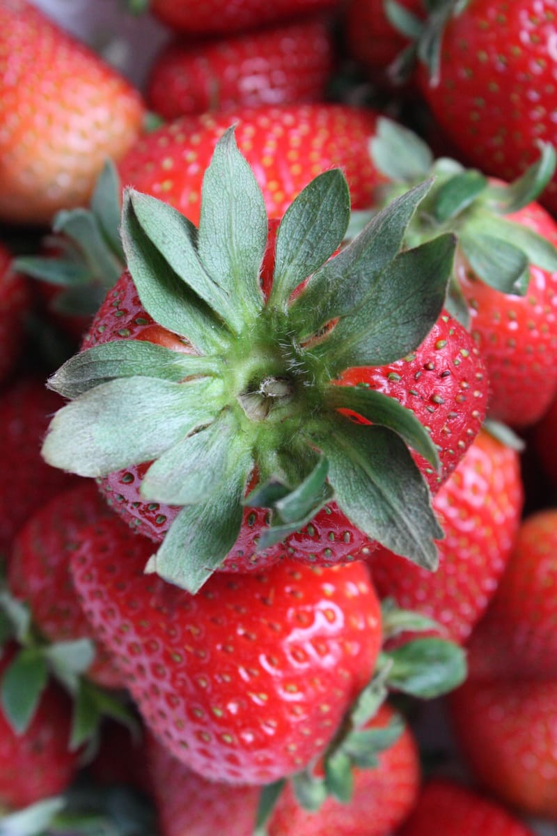 La Salade de Fruits