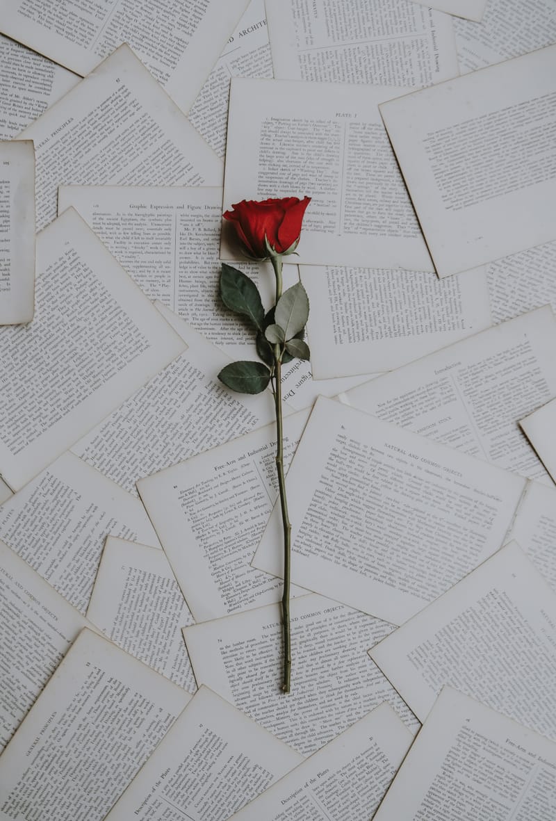 Primeras Palabras Románticas