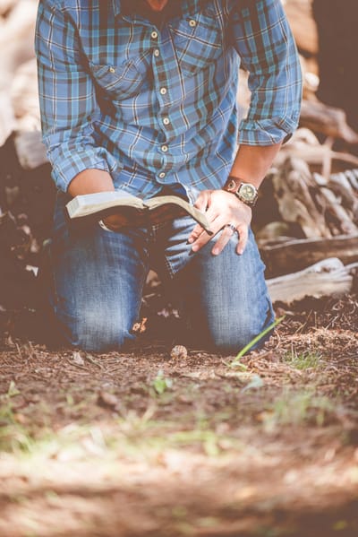 A Review Of Verses of scripture