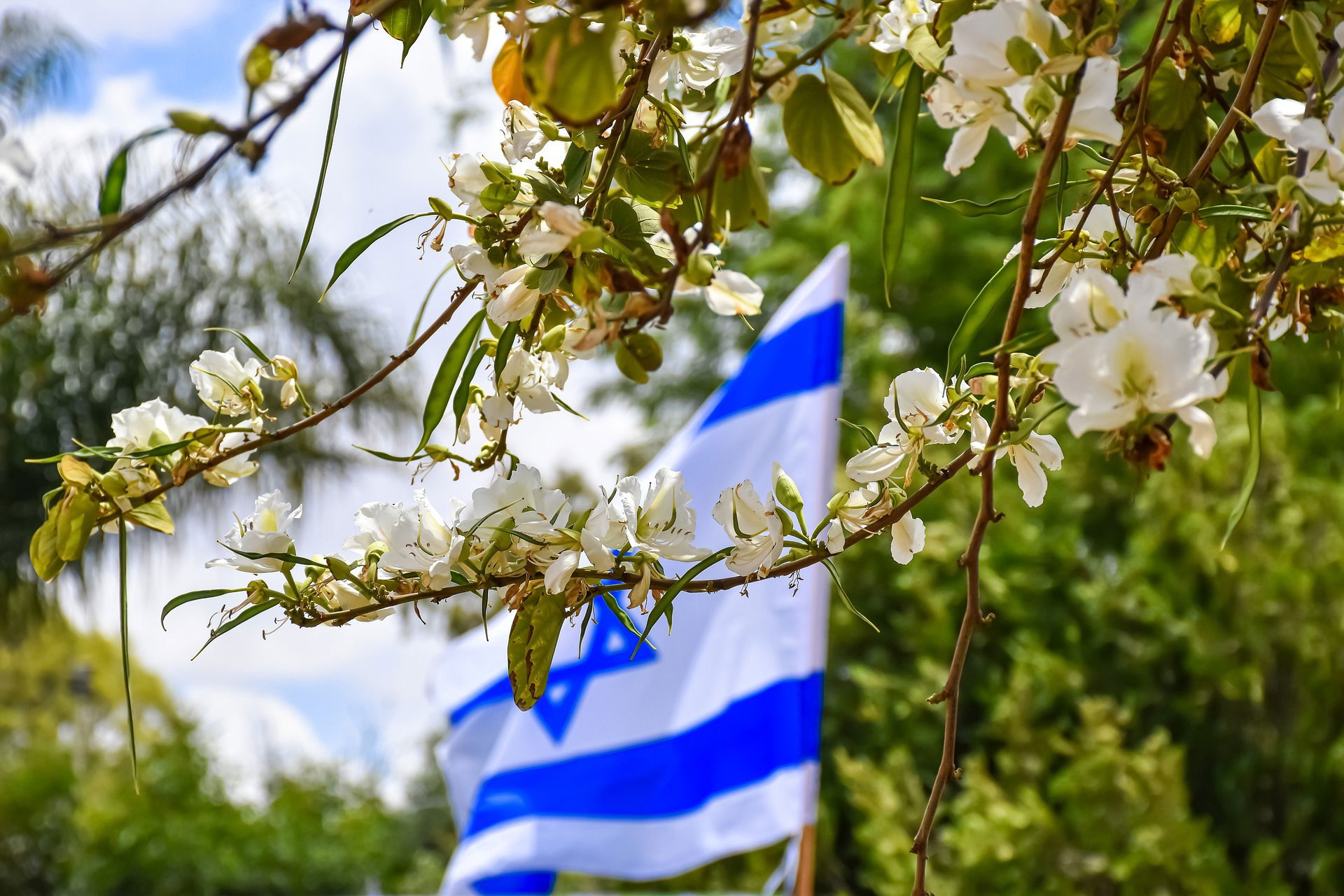 מדינת ישראל 🇮🇱  🇮🇱  🇮🇱 – שבוע 218