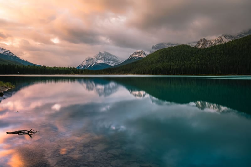 האיזון הפנימי - קורס איזון גוף נפש - אונליין