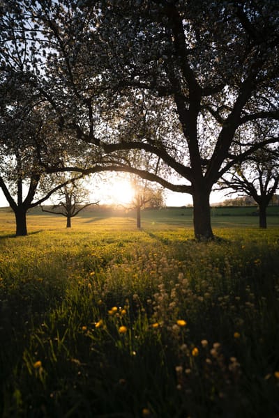 therapies d&#039;adultes et d&#039;adolescents image