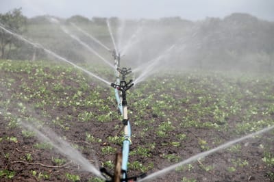L'importance de l'irrigation dans l'agriculture moderne