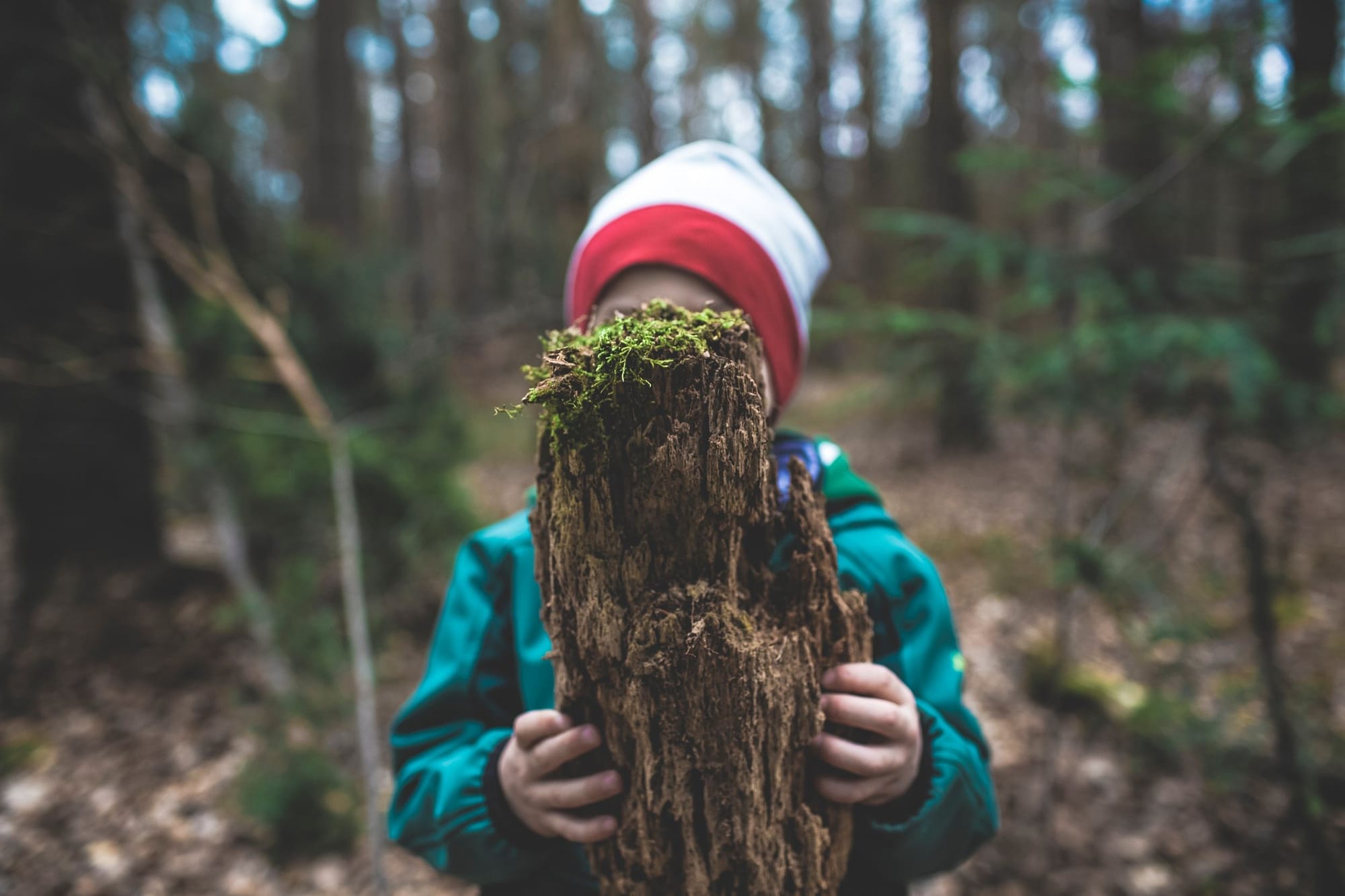 What is Forest and Nature School?