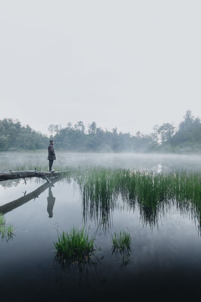 Ville intelligente - Smart Cities - Développement durable - Great Reset - WEF - AGENDA 2030