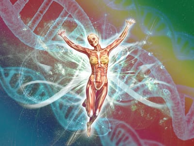 The Body's View of Nutrition image