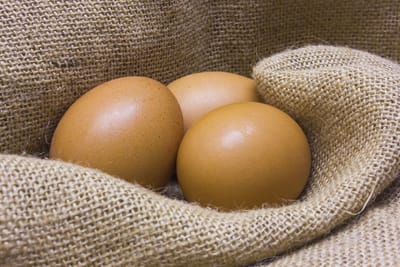 How to improve Egg quality ?