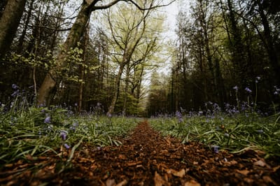 Actividades artísticas en Puerto Padre
