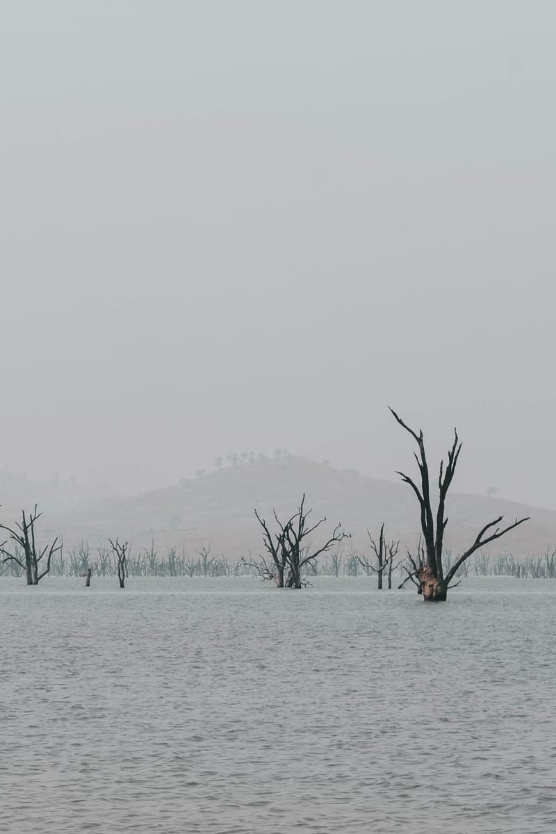 Πώς με συναντάω μέσα από την αυτοφροντίδα!