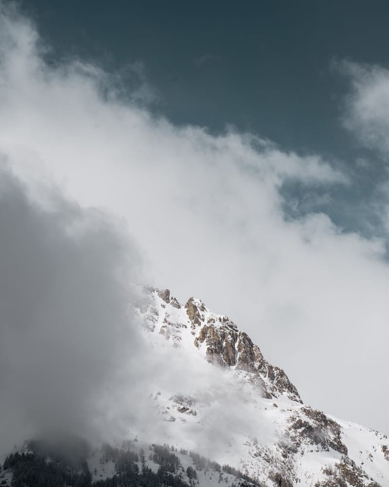 מה שלמדתי מהדסה ואיך זה היה הזרז שלי לכתיבת "צומת ניו יורק-קרית ספר" - עותק