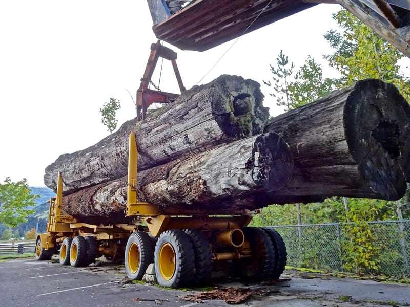 TIMBER