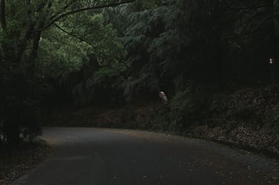 Sobre image