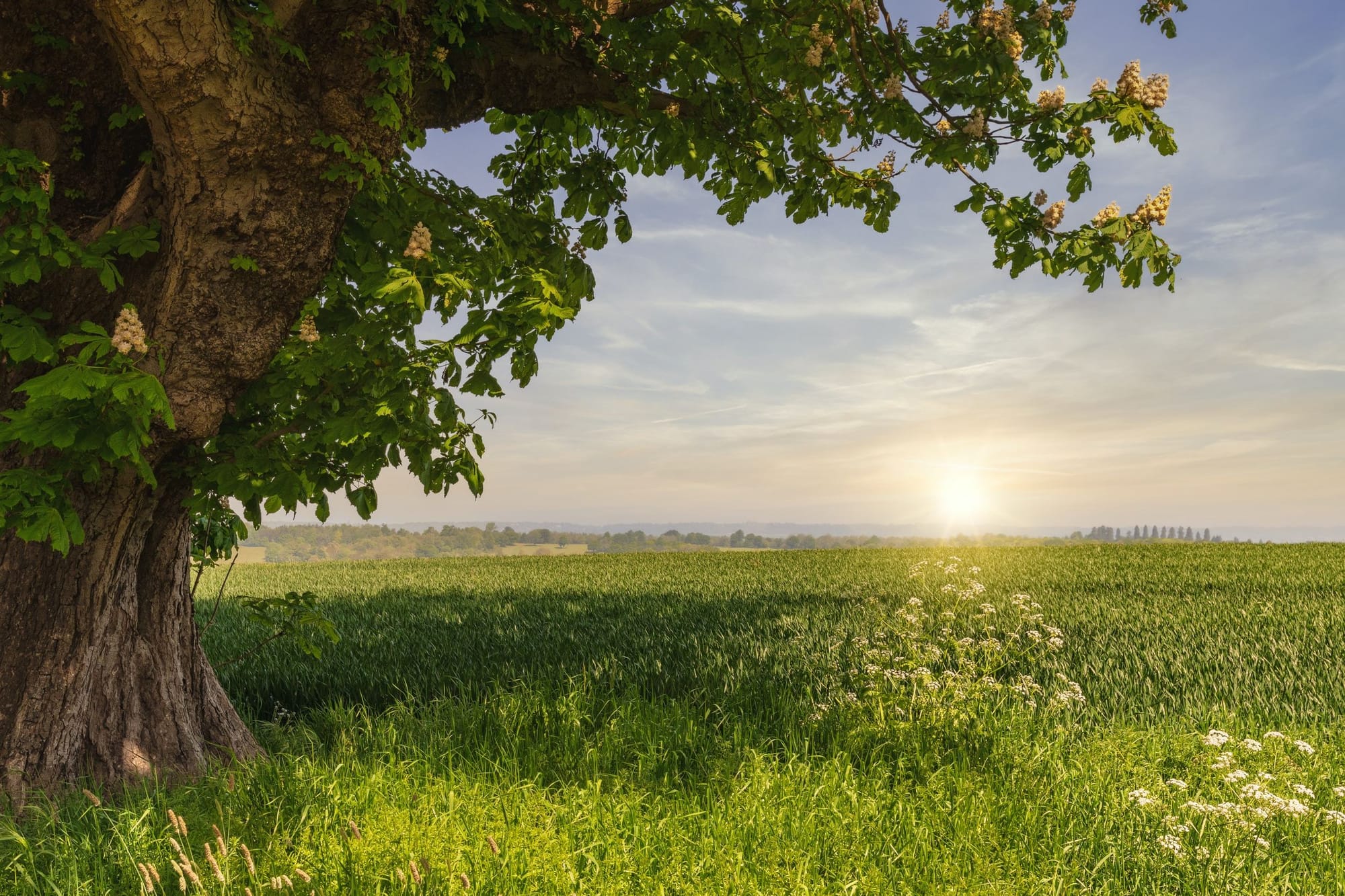 Schützlinge der Natur