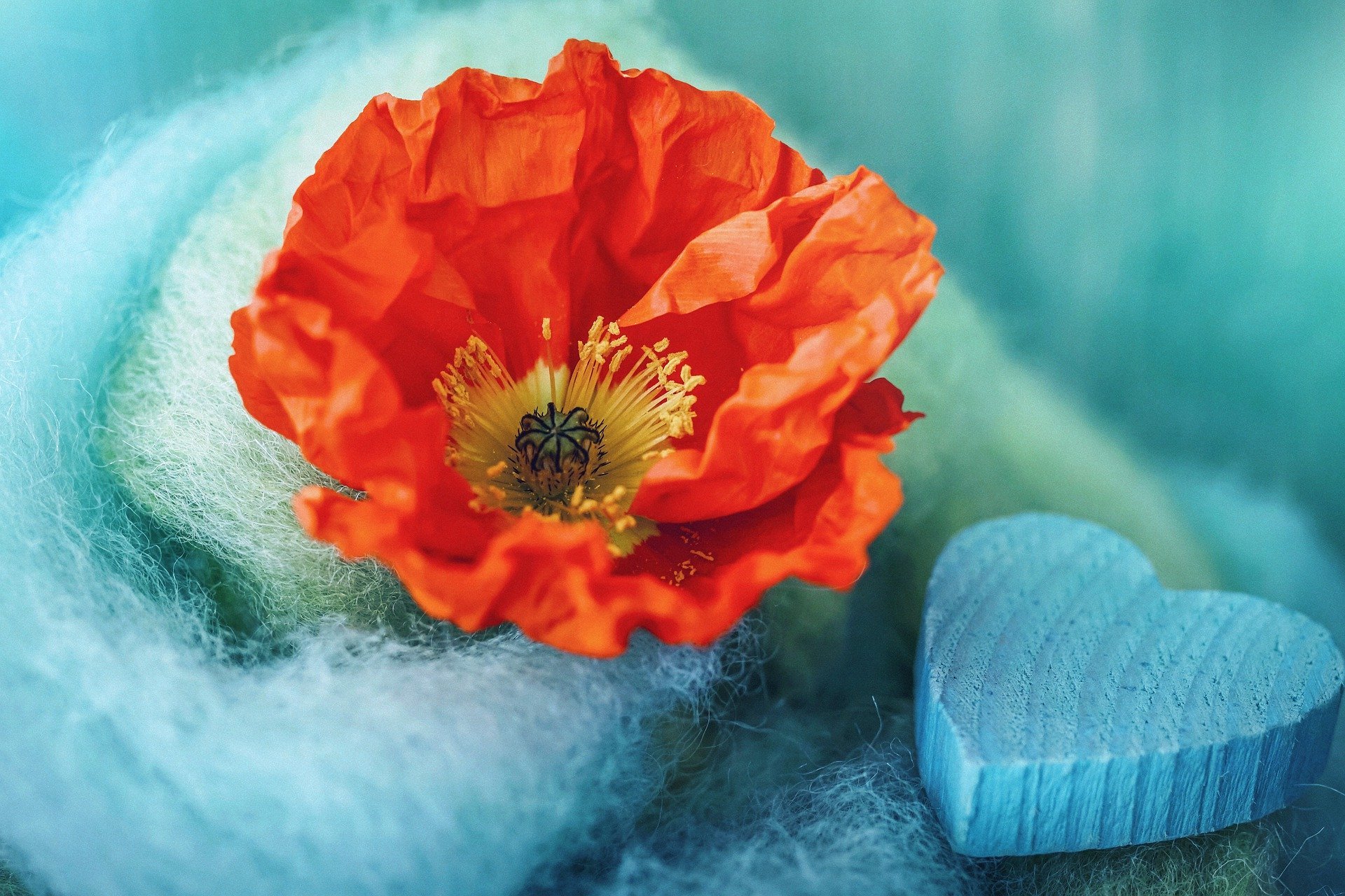 Hast du jemals daran gedacht dass mit oder ohne Hypnose...? 