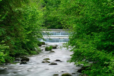 Resilienzgewinn in der Natur