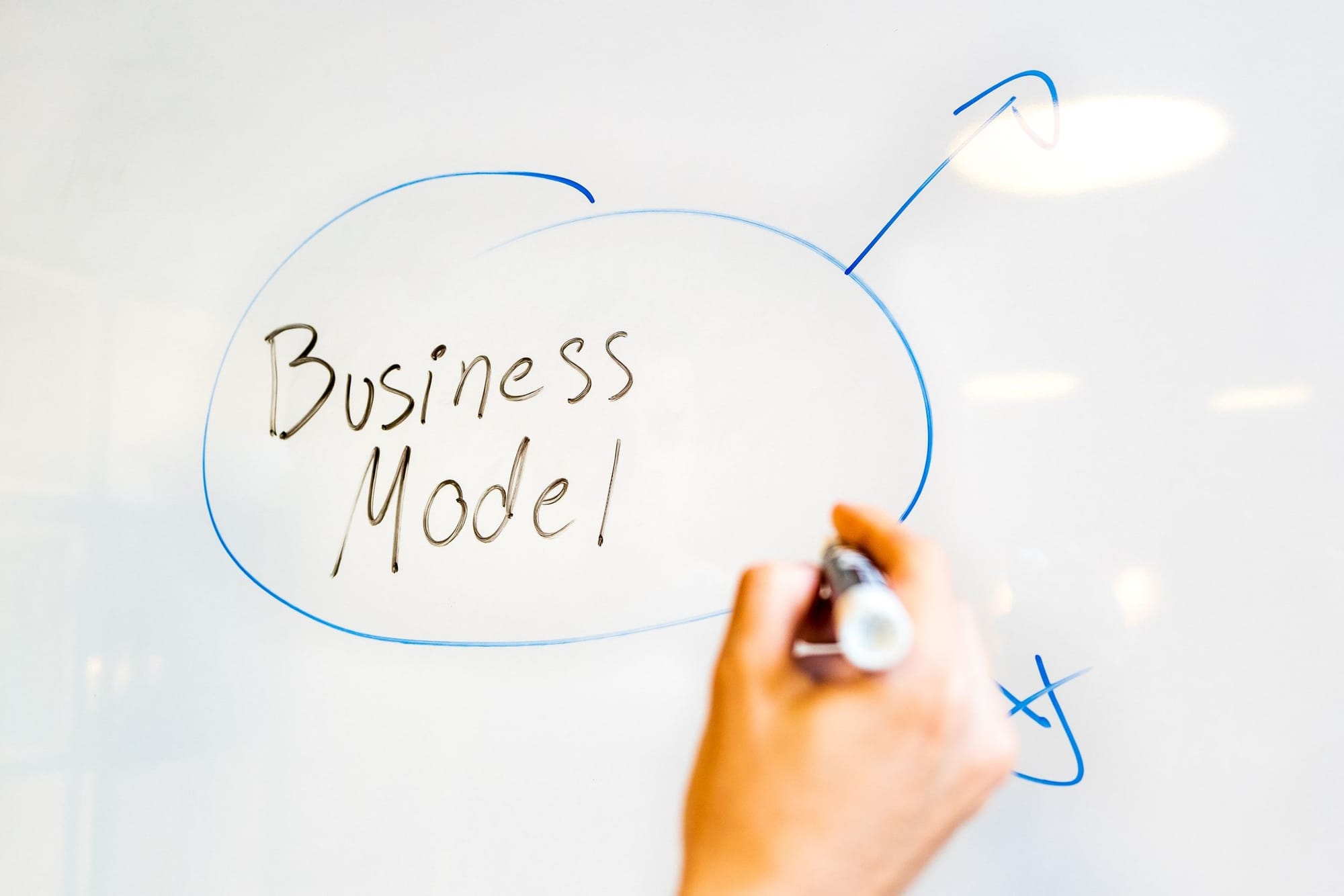 Blue Ocean Strategy, Business Model Canvas and Business Strategy
