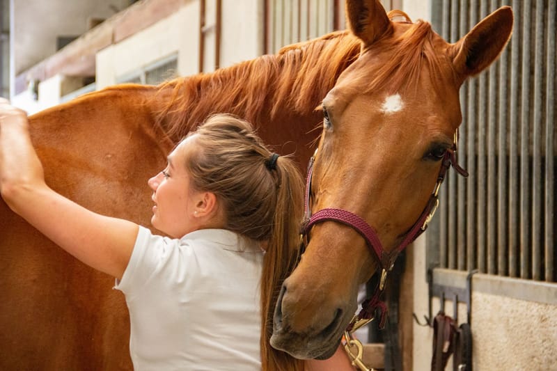 Equine Assisted Therapy