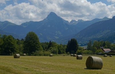 Mangeons mieux, mangeons local : une ceinture agro-écologique pour Annecy et son agglomération