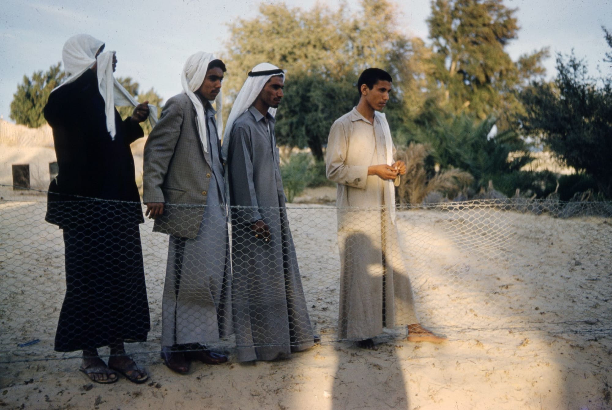 “אבא, הערבים הם רעים?” – שבוע 161