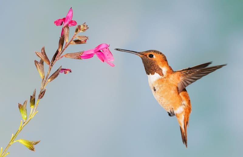 Prendre naturellement soin de sa santé