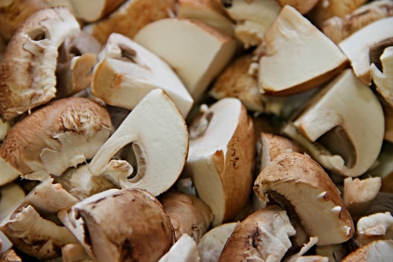 मशरूम की खेती - Mushroom Cultivation