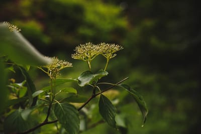 Sobre nosotros image