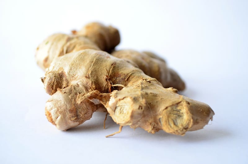 Ginger roots are the underground rhizomes of the ginger plant, scientifically known as Zingiber officinale.