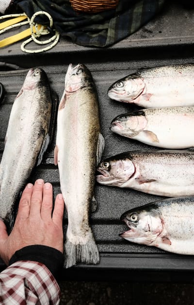 花蓮縣政府委託辦理「食魚教育產地體驗課程」,歡迎本校師生踴躍參加。