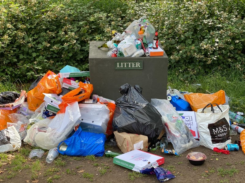 Waste Removal