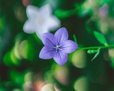 Gruppengespräch image