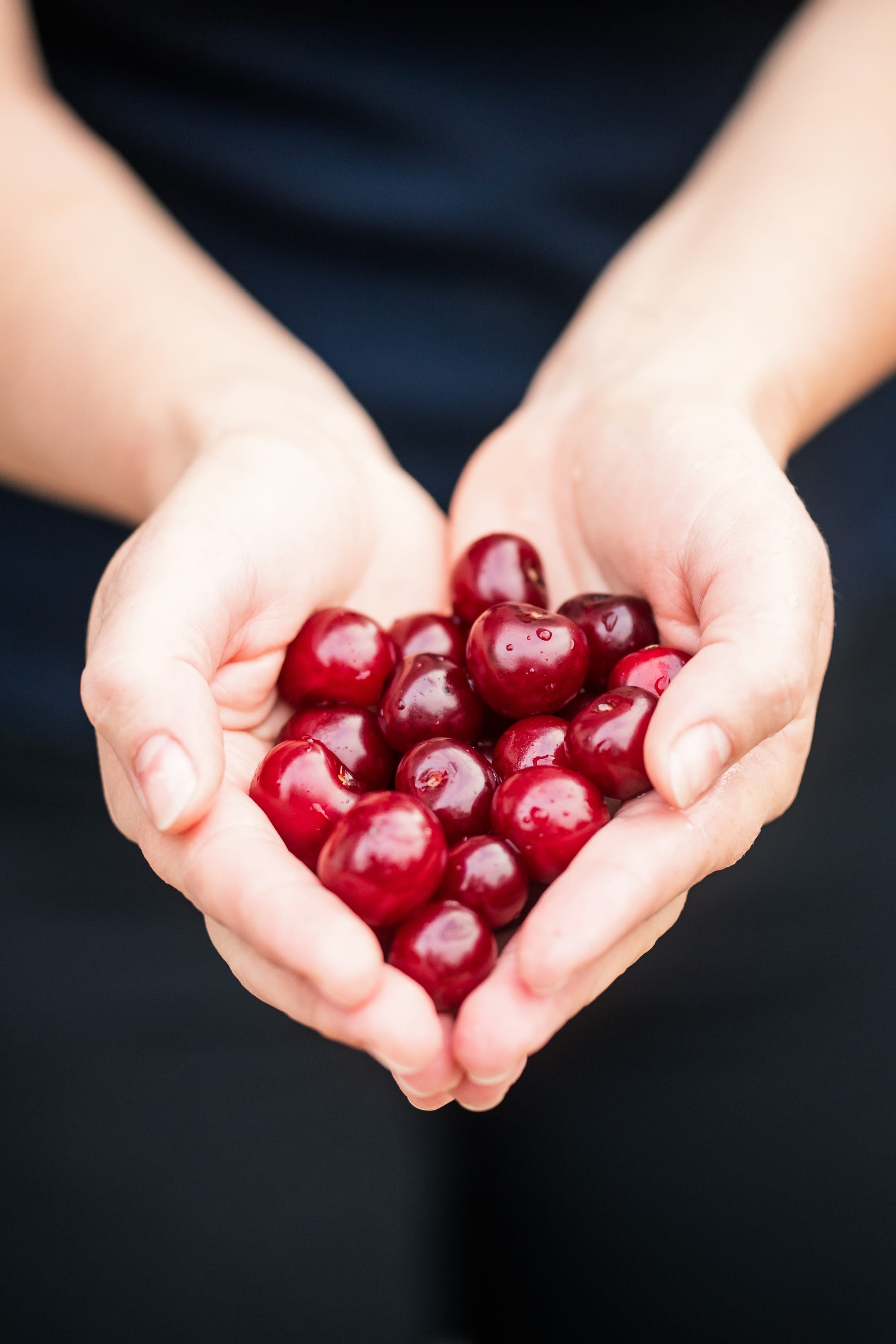 La cranberry : remède naturel contre les cystites.