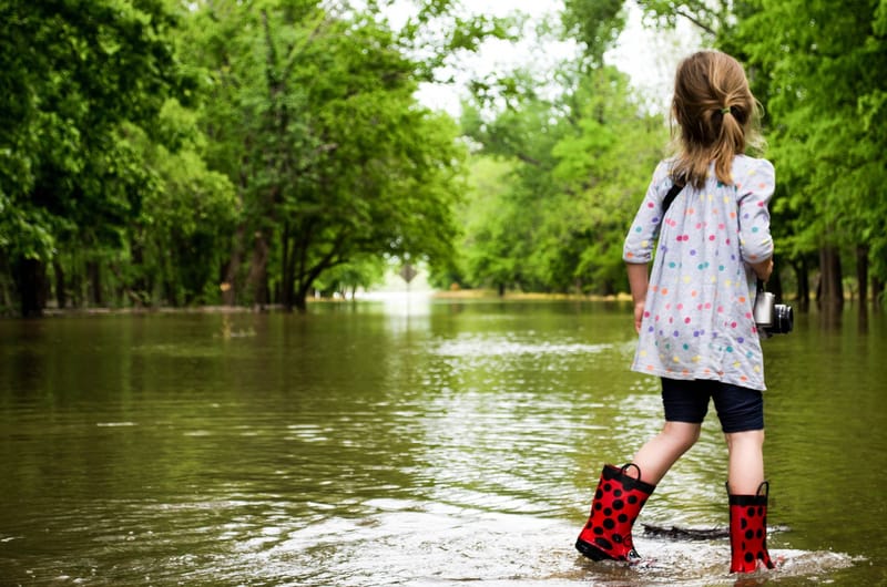 Flood Committee