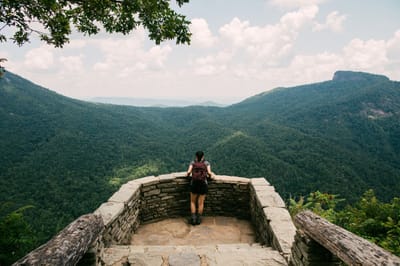 Interesting Facts About Davidson, NC 28036