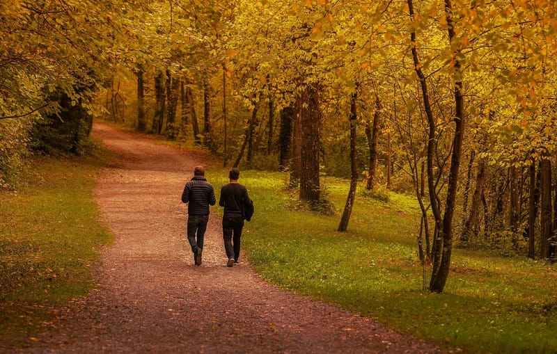 Walk &amp; Talk Therapy - 50 minutes - £50