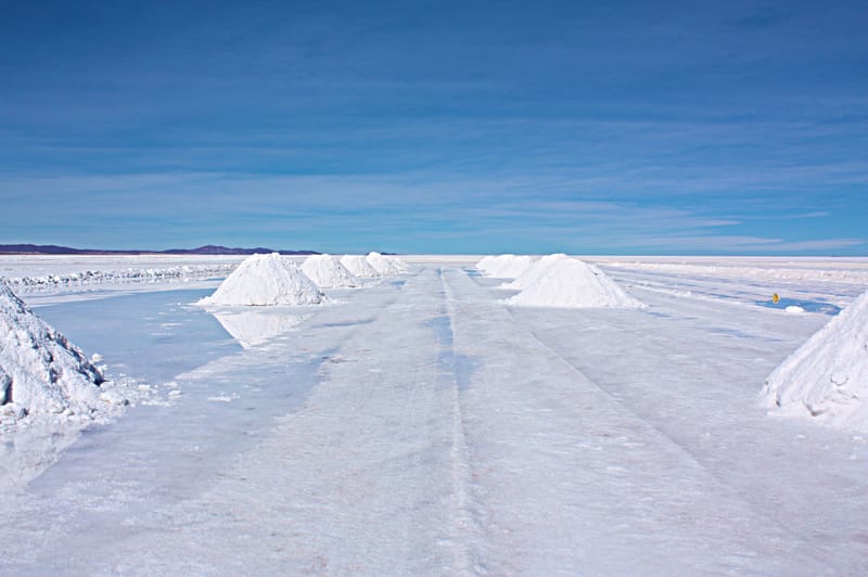 Salt Of The Earth