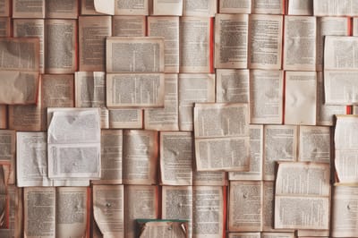 Give your articles