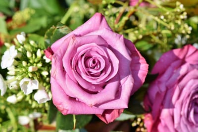 صبحية مع الربّ