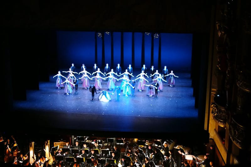 Performance at the Hungarian State Opera
