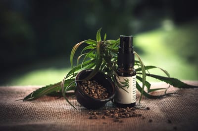CBD pode preservar cognição e aliviar sintomas do Parkinson, avaliam pesquisas