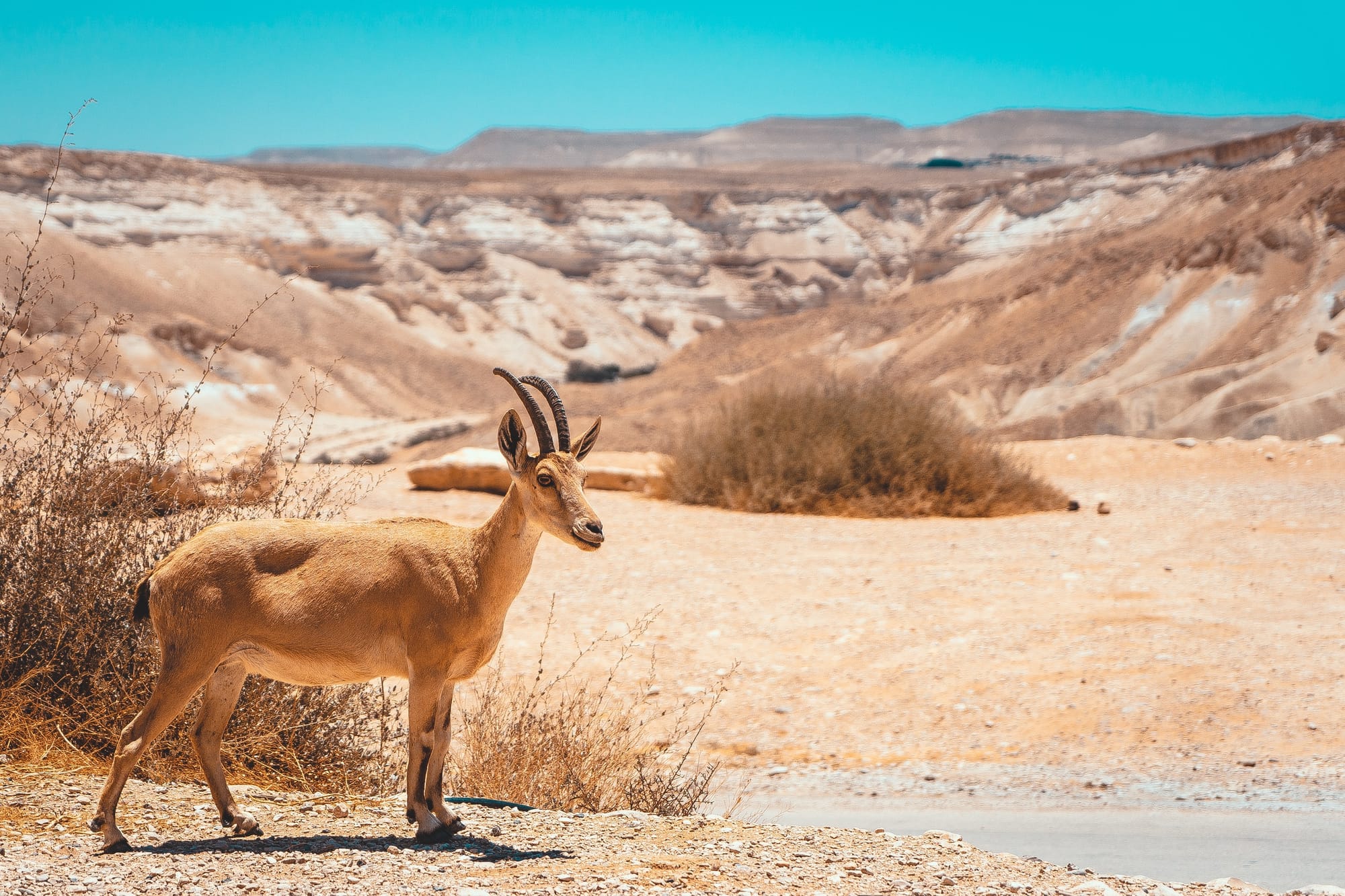 i love israel  מלונות בהנחה לאזרחים ותיקים- חופשה בישראל