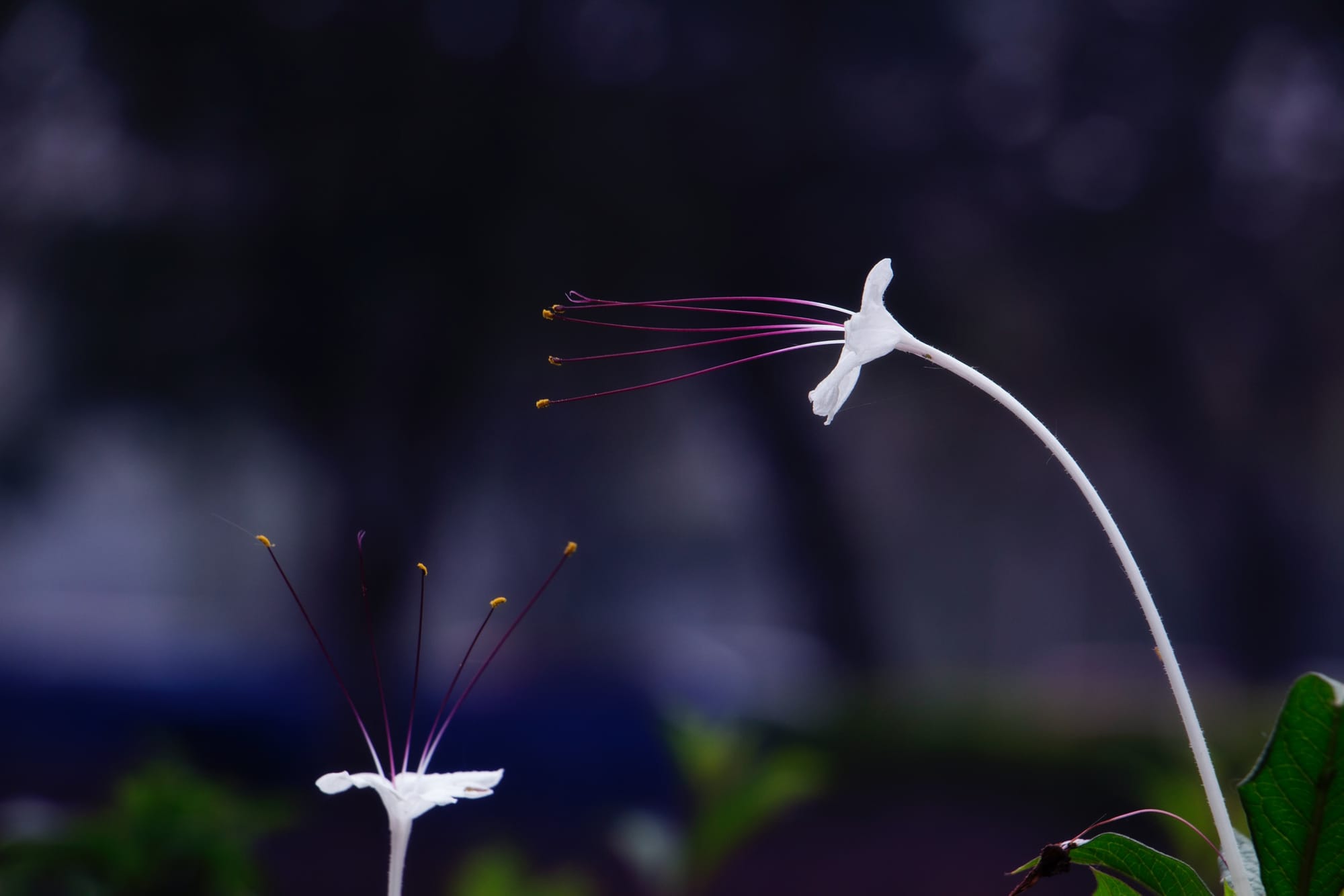 RESPECT DES PERSONNES, DU MATERIEL, DE L'ENVIRONNEMENT ET SECURITE