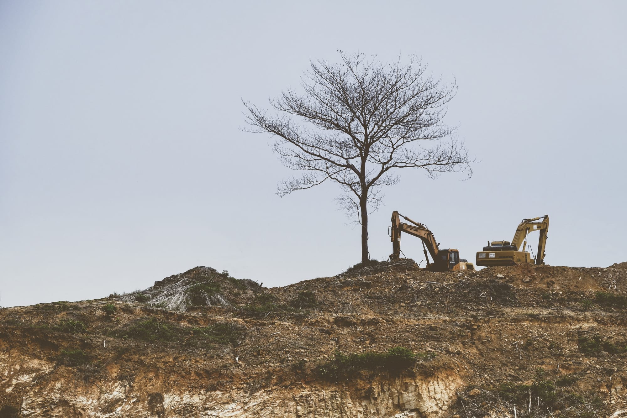 Leserinnlegg, Arne Inge Vålandsmyr, Frolendingen 28.03.22: Rasering av natur og miljø