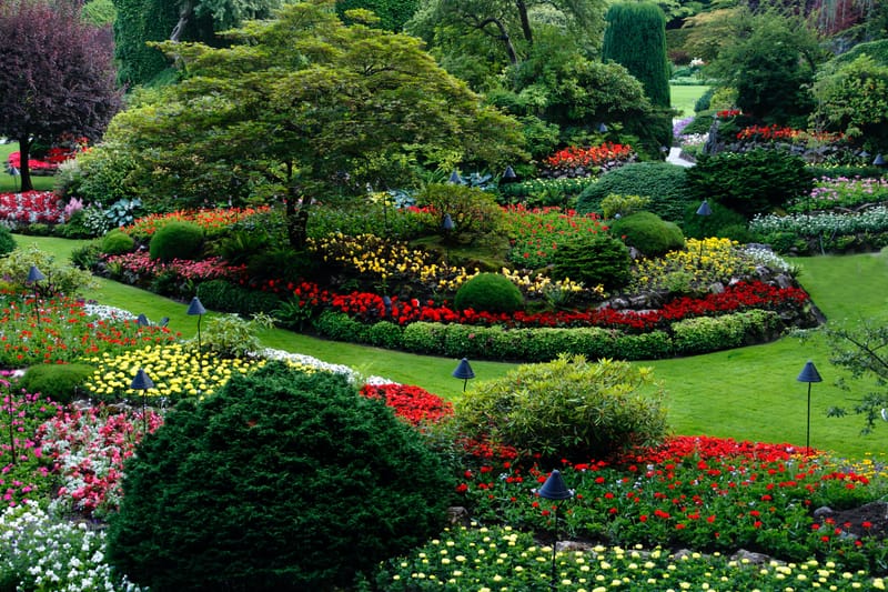 Landscape Design Services: Guide to Choosing the Right Landscape Company in Your Area