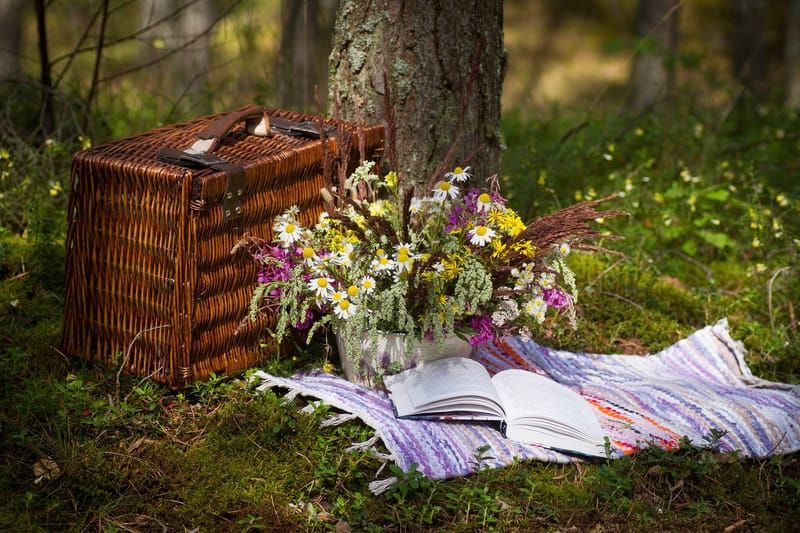 Annual Picnic