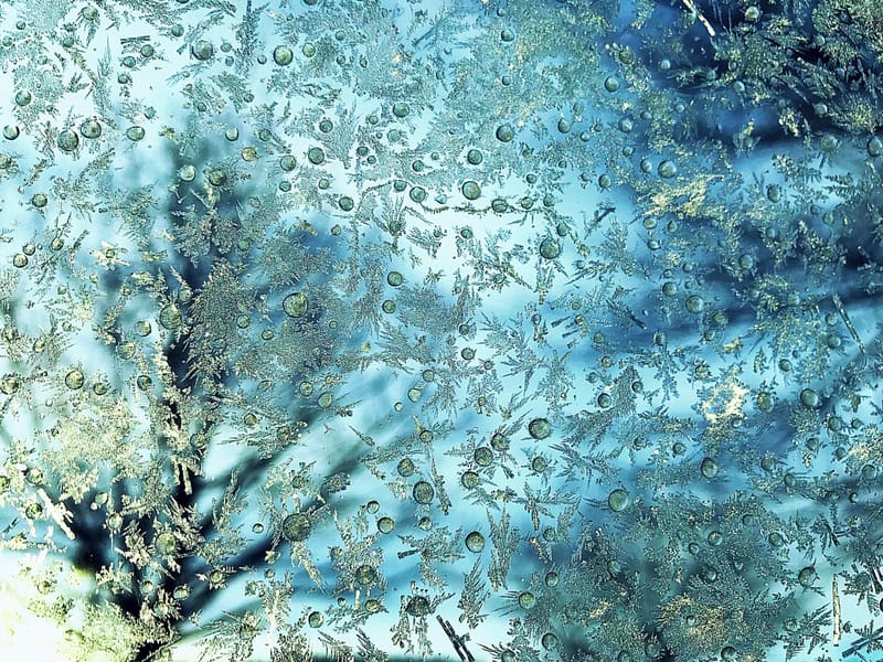 Դեկտեմբերյան նախագծեր