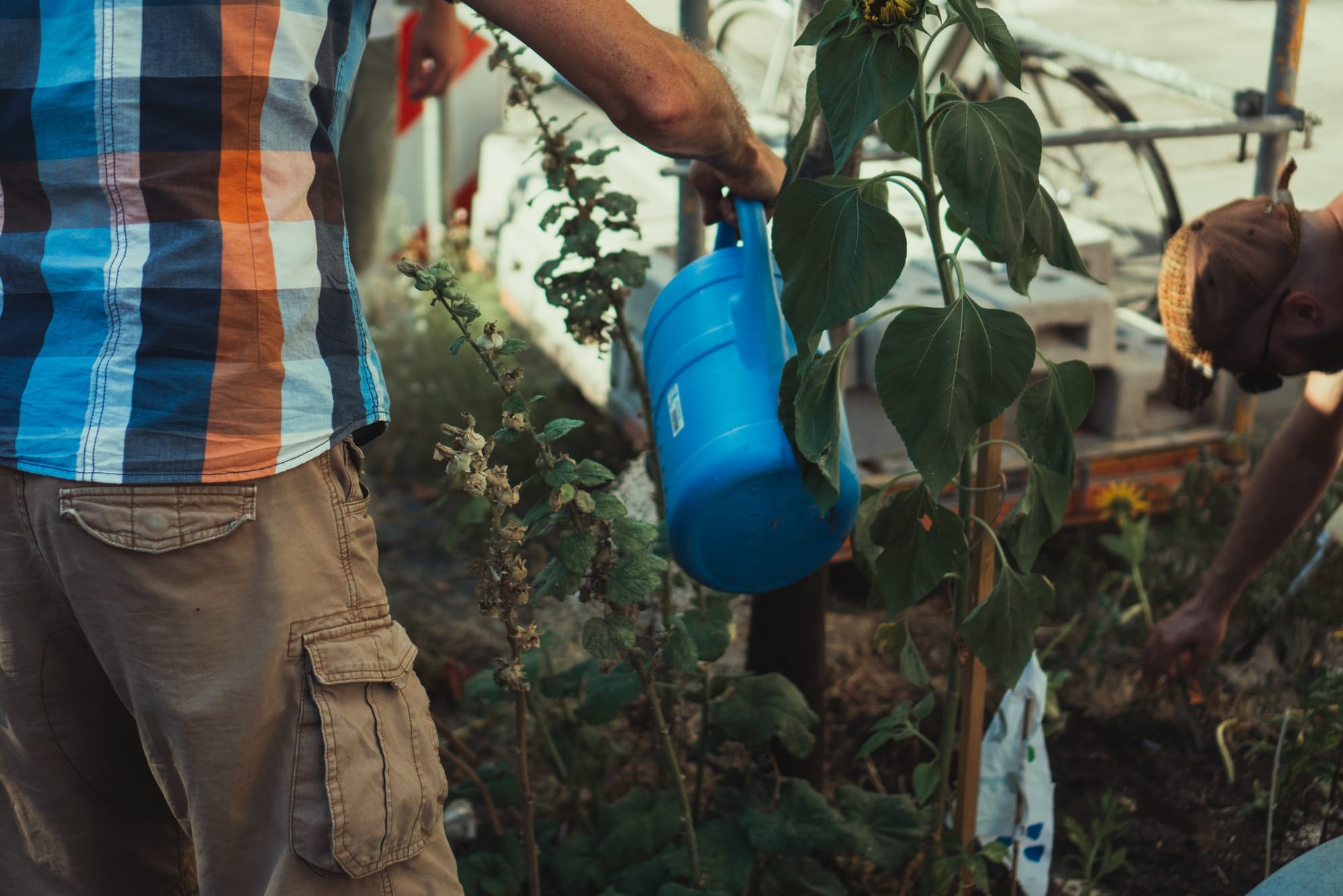 Watering